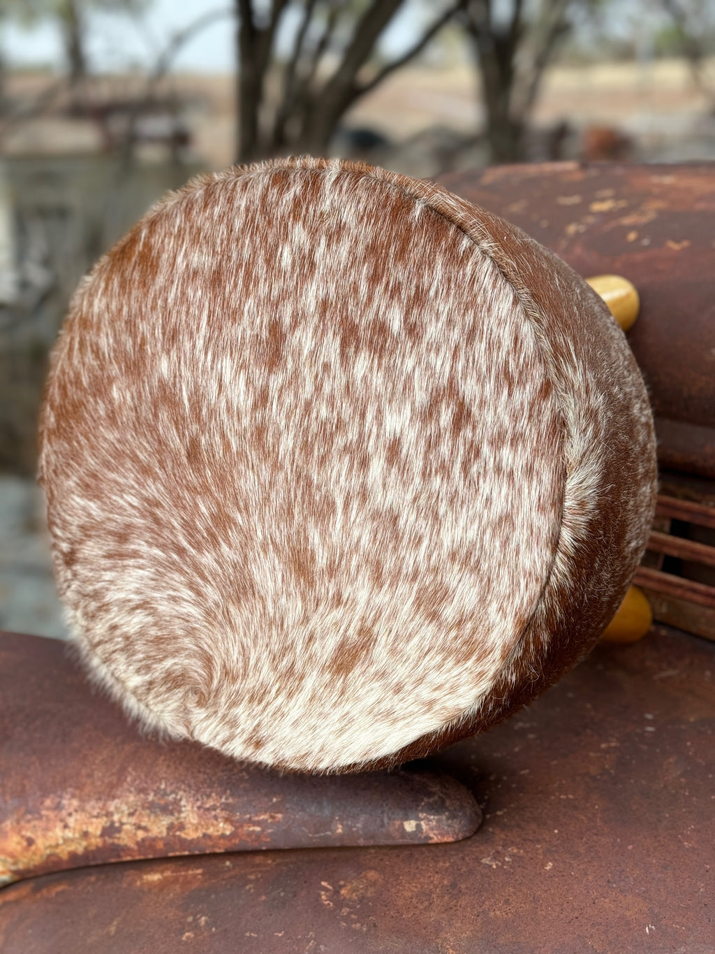 Cowhide Stool #4