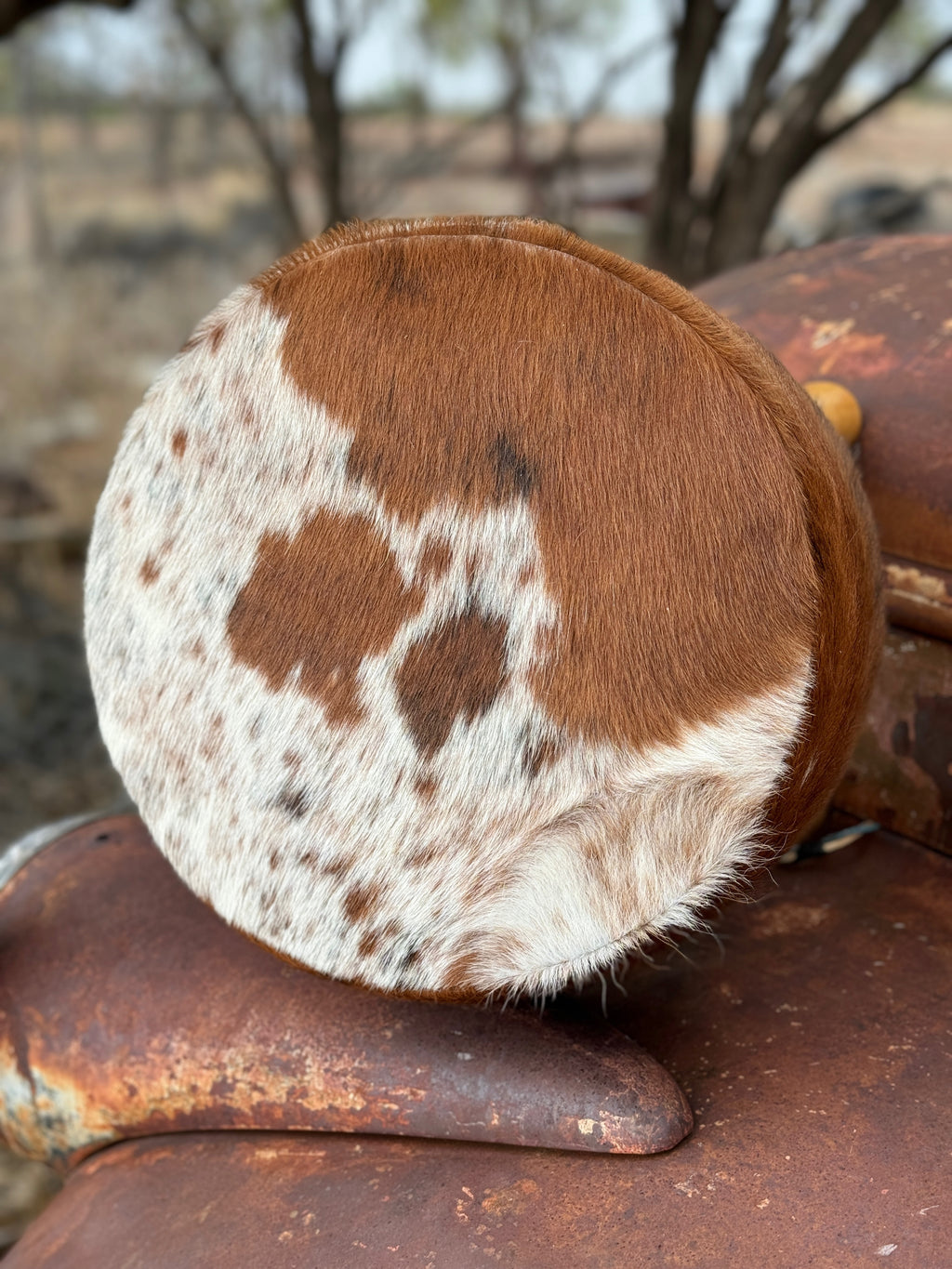 Cowhide Stool #6