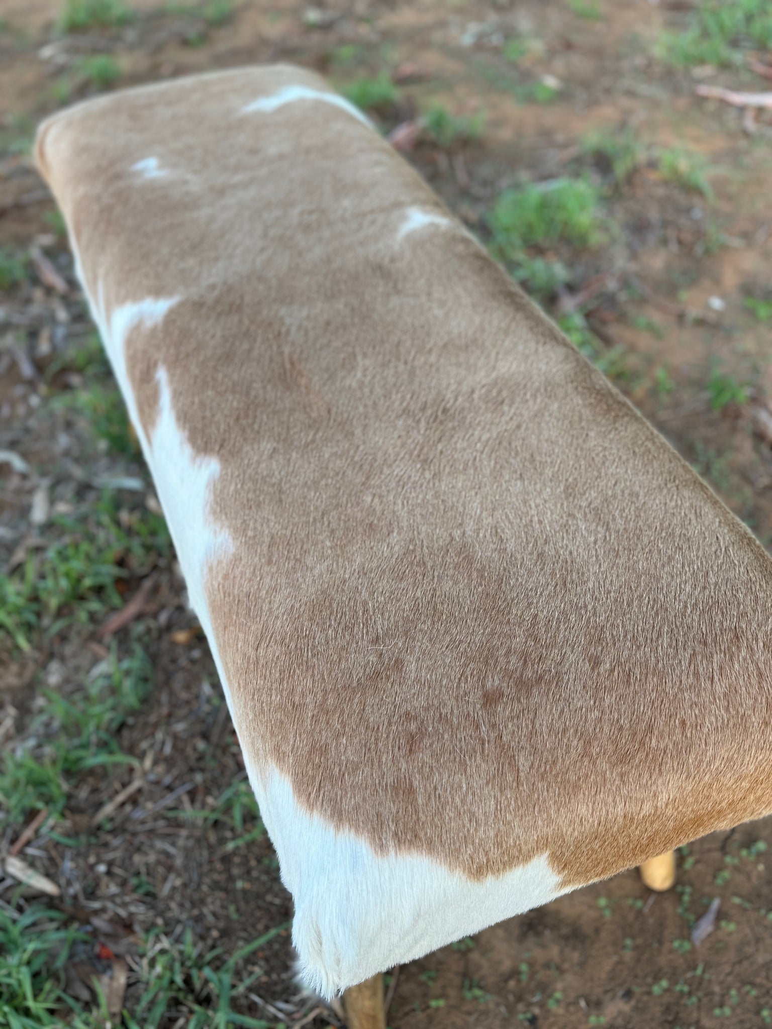 Cowhide Bench Seat _ 9