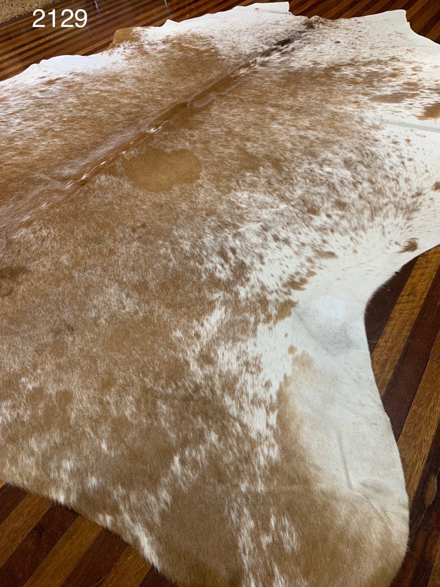 Genuine Cow Hide #2129