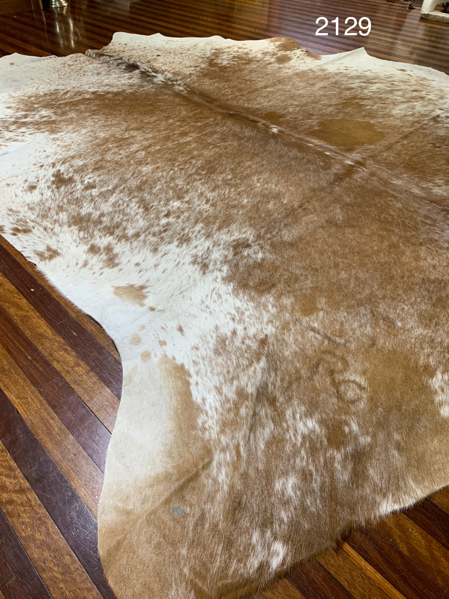 Genuine Cow Hide #2129